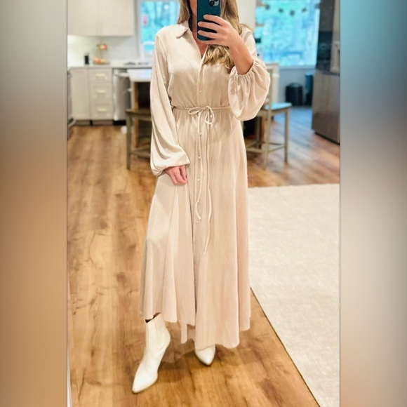 Hyfve Pleated Dress - Must have dress! So flattering! - Picture 1 of 3